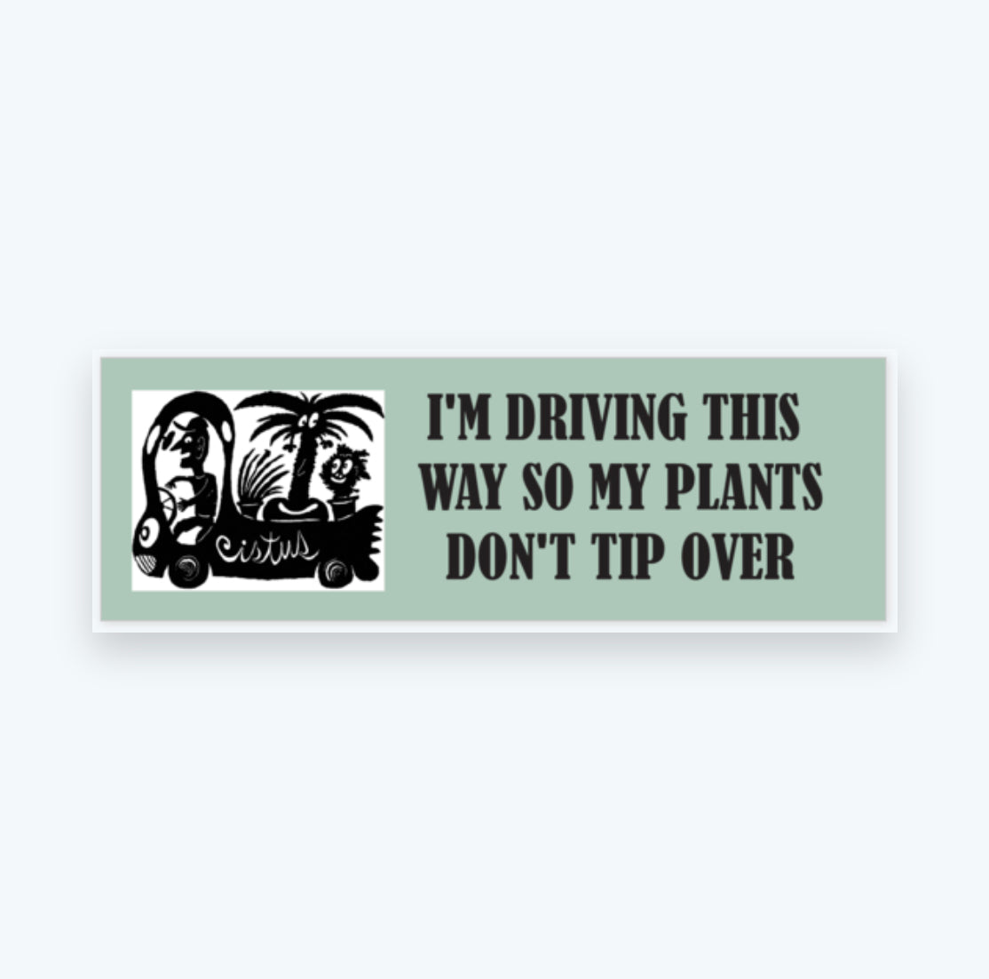 Cistus Bumper Sticker