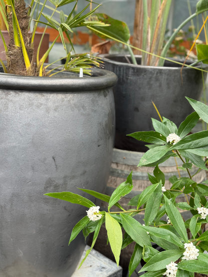 *RETAIL - Bloke Pottery - Matte Black