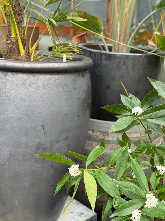 *RETAIL - Bloke Pottery - Matte Black