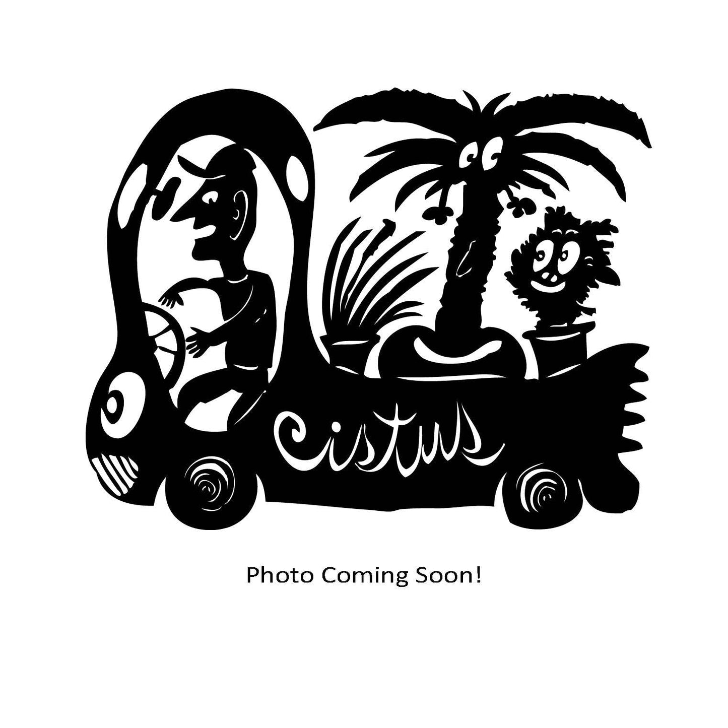 *RETAIL - Chamaecyparis pisifera 'Golden Mop'