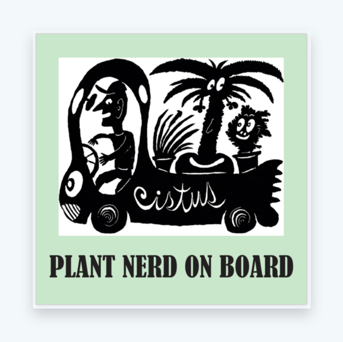 Cistus Bumper Sticker