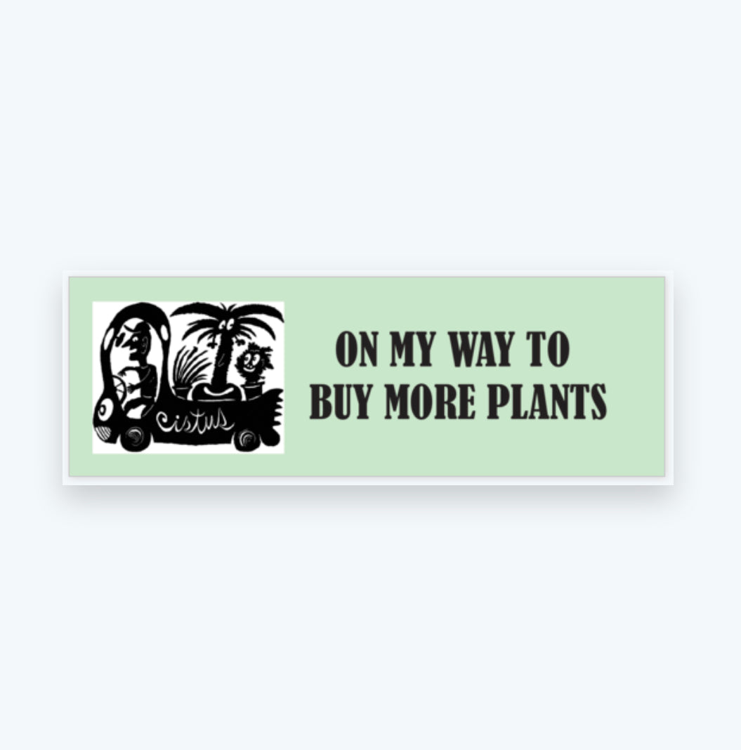 Cistus Bumper Sticker