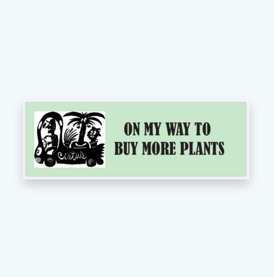 Cistus Bumper Sticker
