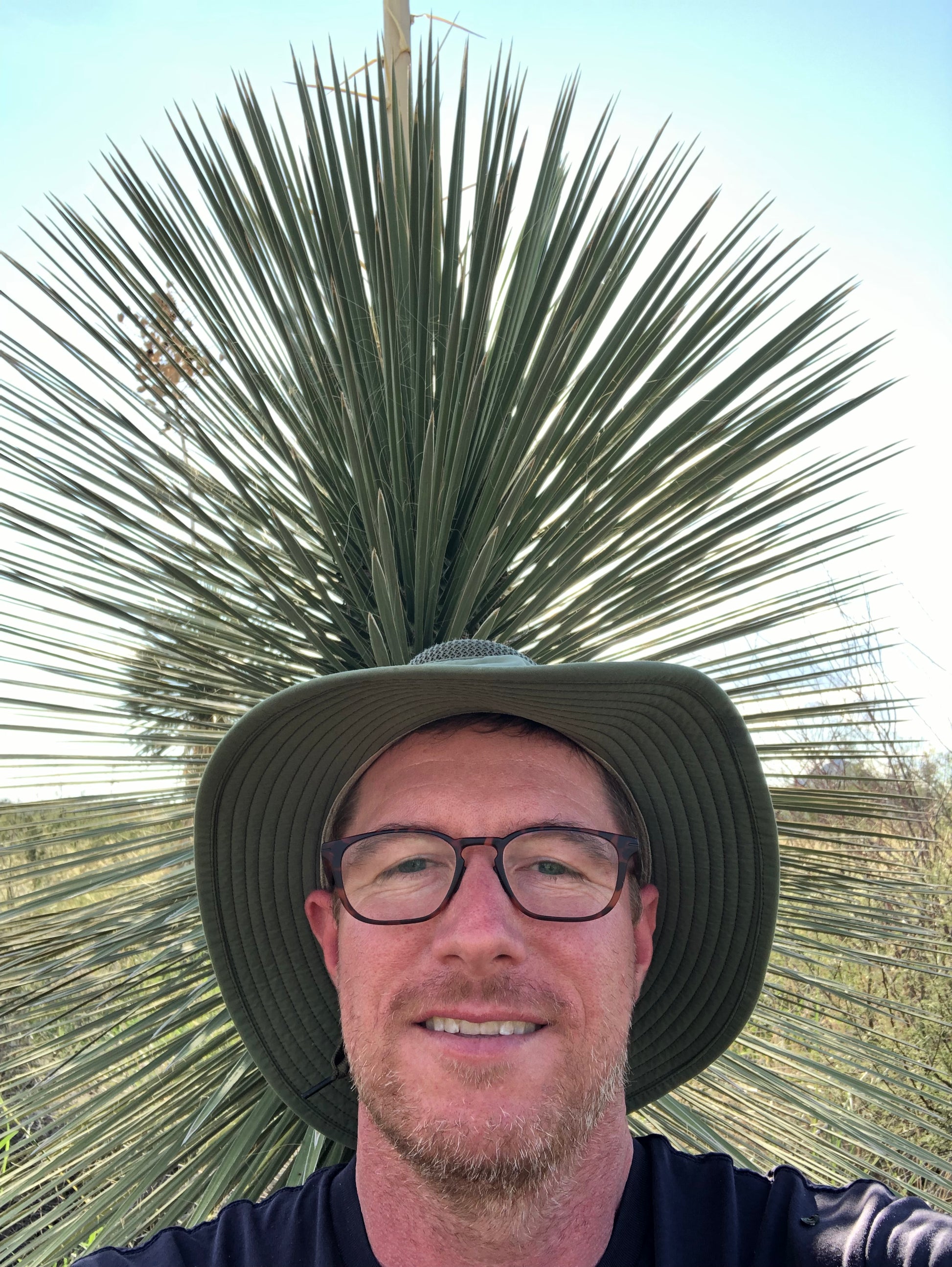 Yucca elata SBH 20.0200 – Cistus Nursery Yucca elata SBH 20.0200 – Cistus Nursery